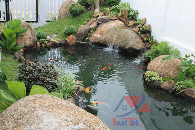 thi-công-hồ-cá-koi-13 làm hồ cá koi 13