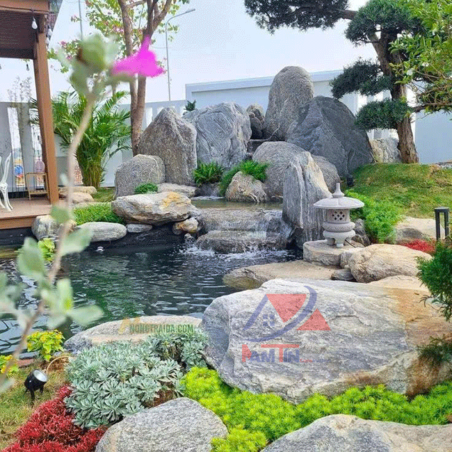 thi-công-hồ-cá-koi làm hồ cá koi